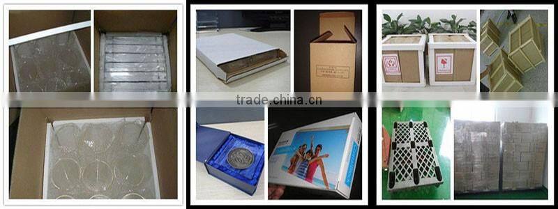 Plexiglass Drawer Cosmetic Organizer/ Display Showcase