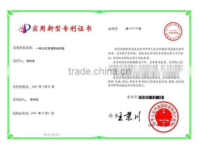 chicken cage,automatic poultry equipment,chicken layer cage