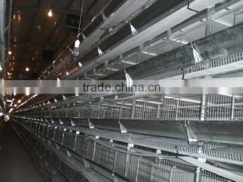 chicken cage for poultry farm for nigeria with best price