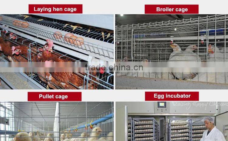 20 years lifespan A type of poultry egg chicken layer cage price