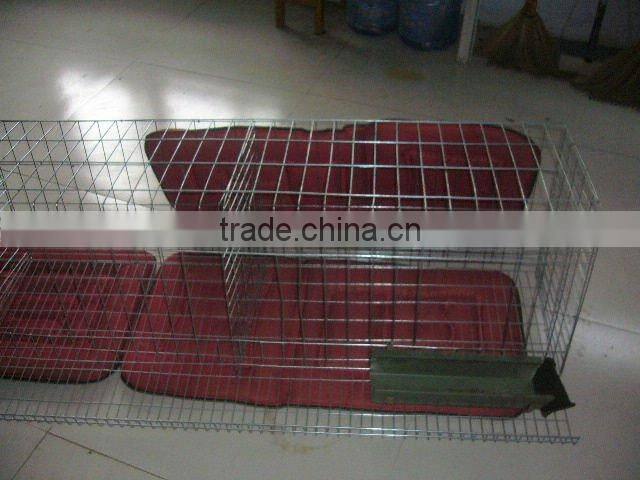 Anping Longyi factory twist chicken wire mesh/double twisted hexagonal gabion mesh(ISO factory & exporter)