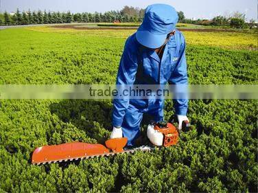 gasoline hedge trimmer SDL750B with high quality
