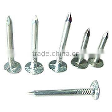 roofing nail 2014 hot sale !!! JOINT VENTURE anping wire mesh factory