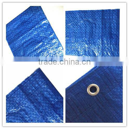 PE Leno design 3x3 Scaffolding Tarp