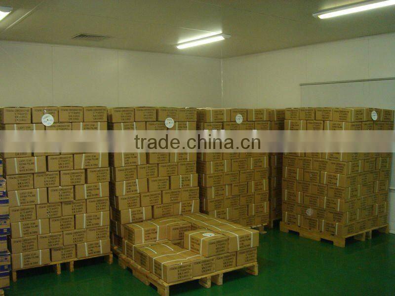 Single and Double cd dvd case 10mm