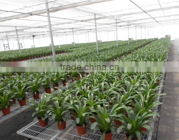 Factory price raised garden seed beds of planter pots