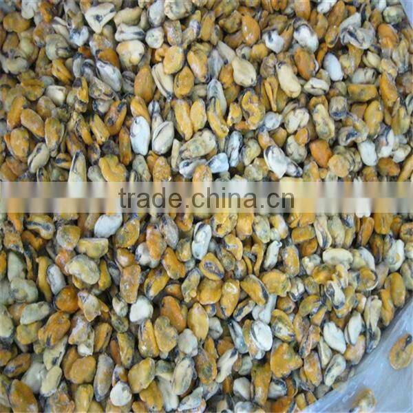 frozen and cooked mussels in shell