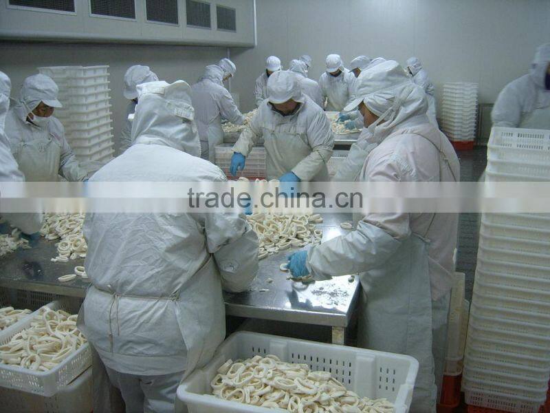 High quality Pacific squid tube (Todarodes Pacificus)