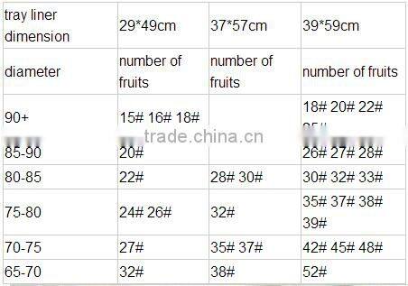 Factory Directly Eco-friendly Colorful PP Plastic Thermal Food Container