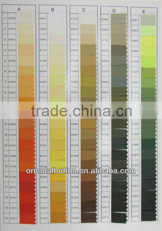 New arrival fasion style dyeable plastic zipper for bags