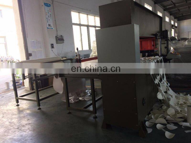 Max working area 2000x500mm 40 TON Hydraulic Travelling Head Cutting Machine