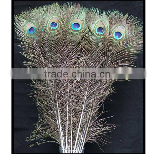 wholesale natural peacock feather decorative birds