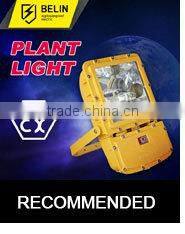 1000W Halogen Floodlight
