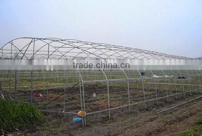 polytunnel greenhouse manufacturer