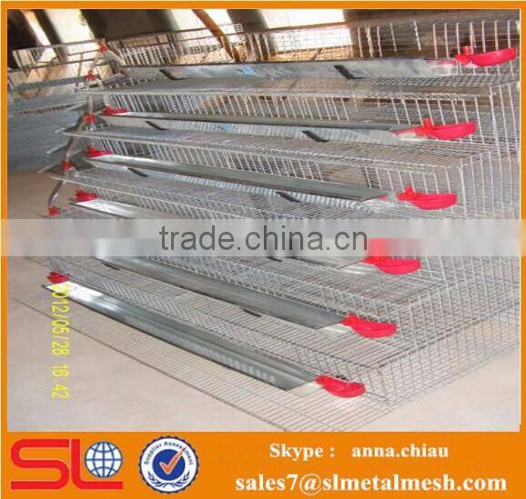 commercial quail layer cage / automatic quail cage and water system