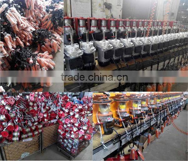 Hot sale PA400 220V 1 phase winch mini electric wire rope hoist