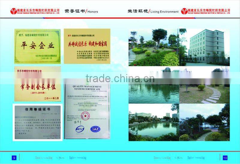 100% 20D nylon semidull square net warp knitted grey fabric