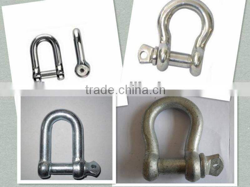 Stainless Steel Dee Shackle for Chain