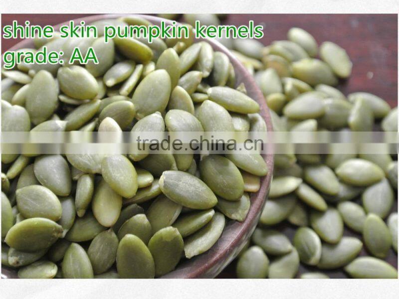 Chinese Hot Shine Skin Pumpkin Kernels Best Products for Import