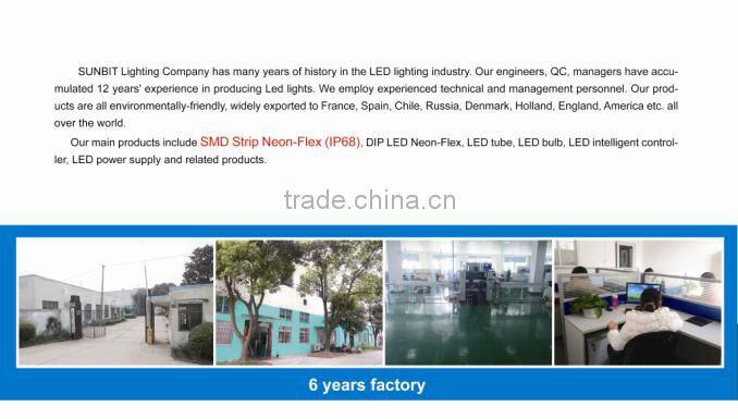 IP 68 UV resistant 360 degree Anyview RGB tube LED Neon Flex