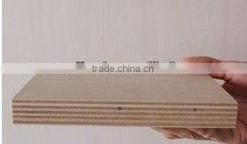 okoume plywood/bintangor plywood/linyi plywood