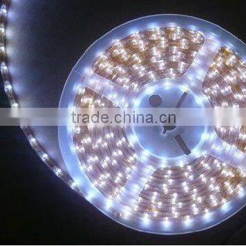 colorful LED flexible strip