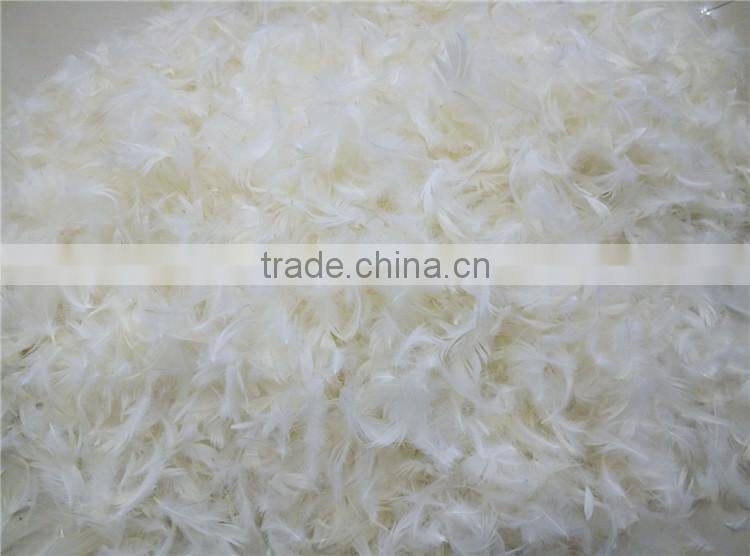 washed duck feather & down