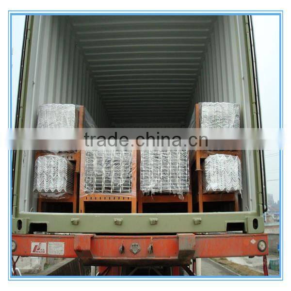 D section galvanized palisade fence(low price)