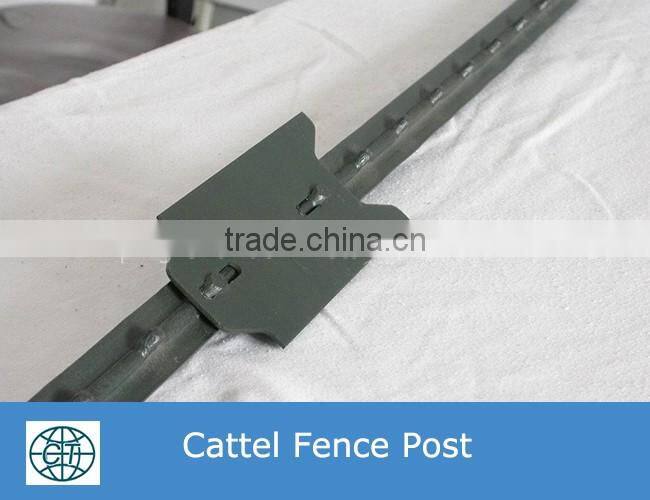 Hot dipped galvanized ring buckle grassland fence for cattle,sheep,deer
