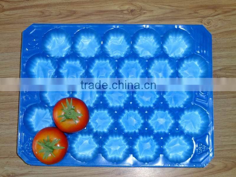 24/25/26/27 Holes Fruit Punnet