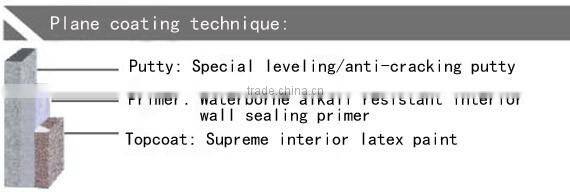 High hide with great coverage ceiling paint