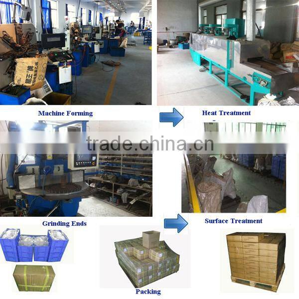 OEM galvanized extension spring