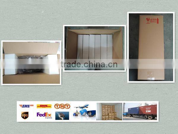 modern wall decor ocean animal fossil wall hanging decoration