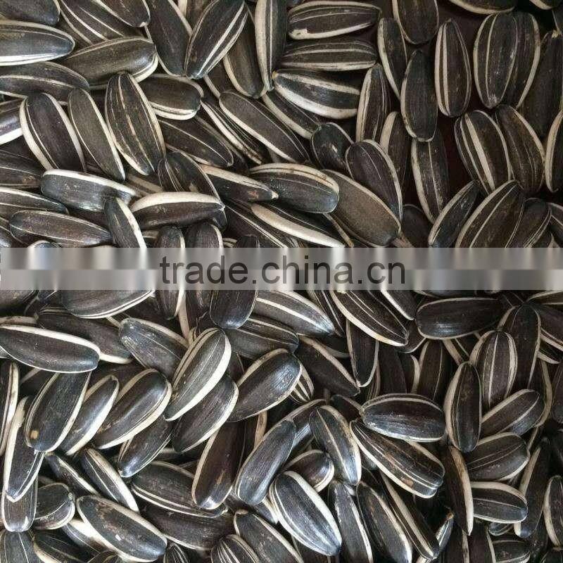 2016 new crop sunflower seeds 3638 market price