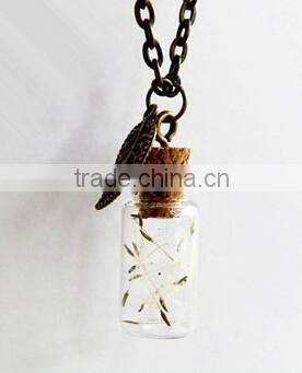 Mini Glass Bottles with Corks and Screw Eye Pins, Glass Jar Vial Charm Pendant with Chains necklaces