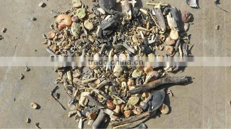 bean seed cleaning machine