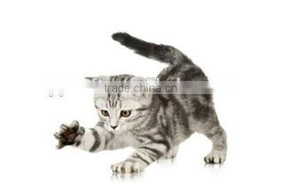 liwen wrought iron dog bed & wooden pet house & cardboard cat house