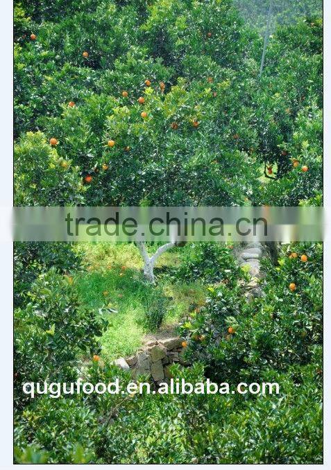 2016 New crop fresh mandarin orange price