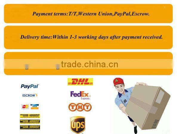 Hot sale spa detoxification ion cleanse machine with FIR belt and LCD screen BD-A010