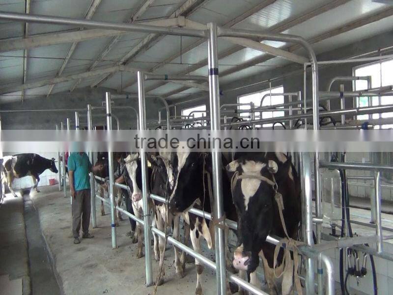 automatic milking machine system of fish-bone type