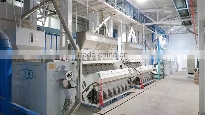 2015With Good Manufacturer Roasted Buckwheat Kernel