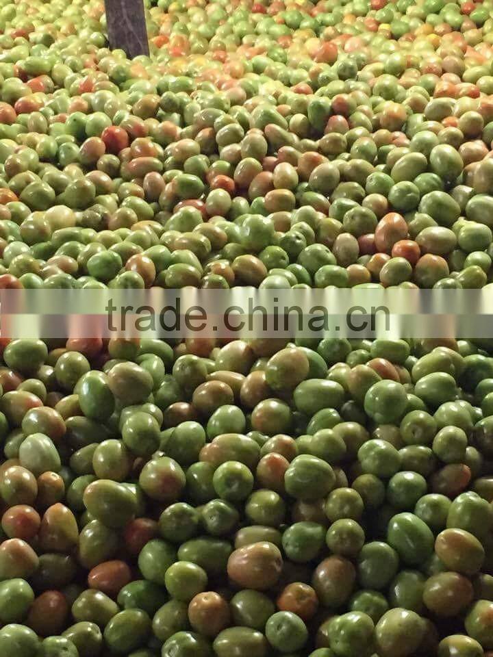 FRESH TOMATOES cheap