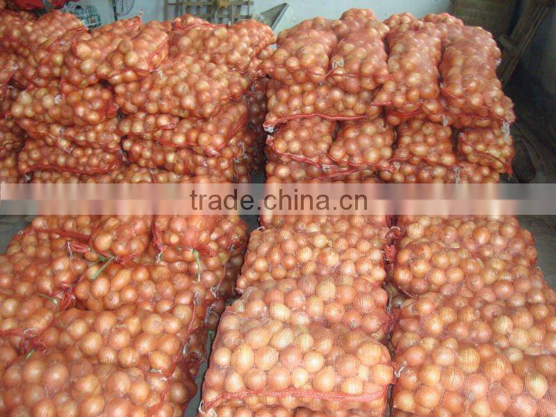 fresh yellow onion supplier