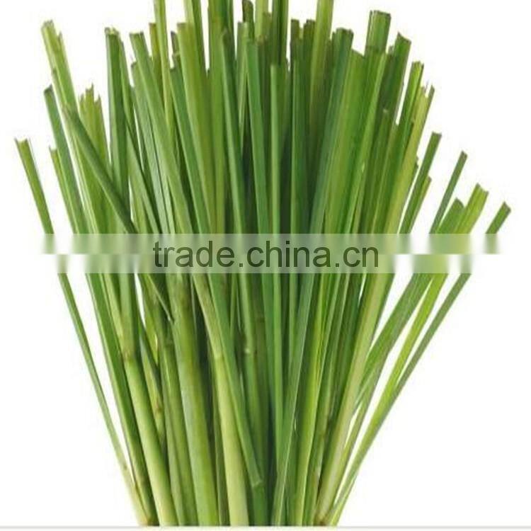 High Quality Dried LemonGrass Origin From Thailand
