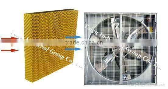 layout poultry farm house design ( product, equipment )