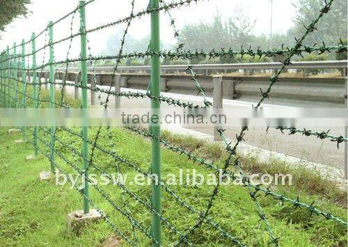PVC Coated 10 Gauge Wire Barbed Wire ( Direct Factory )