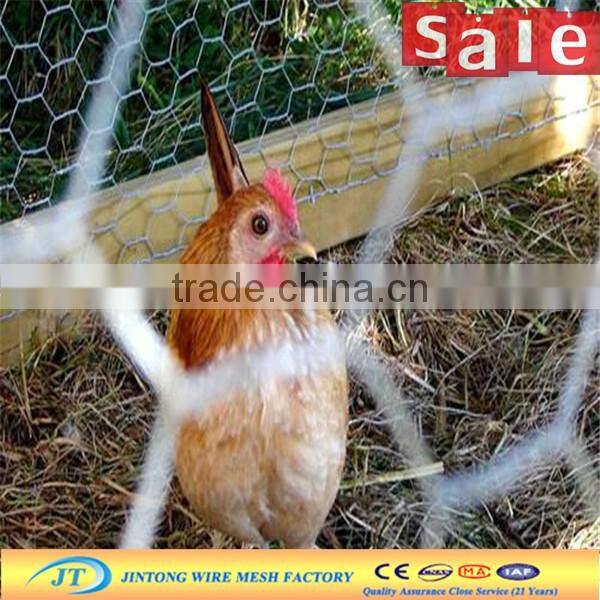 galvanized poultry netting small hole chicken wire mesh prices