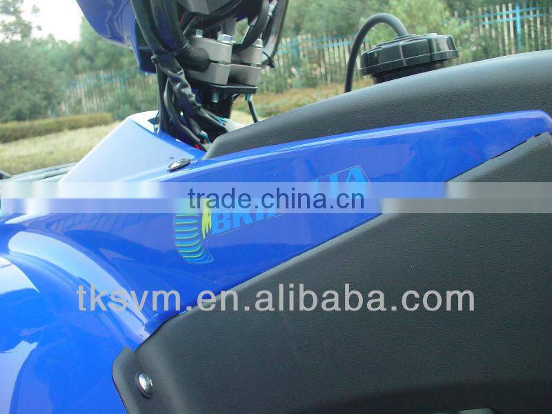TK250ATV-2(200cc atv/eec atv)