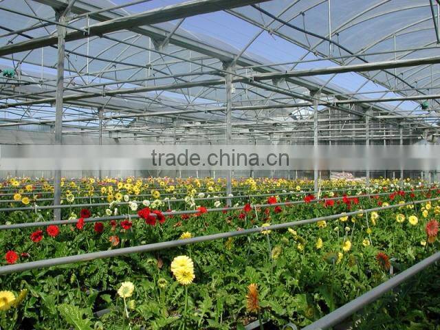 BaoLiDa High quality PE sheet greenhouse hot-dip galvanized steel tube tomato greenhouse