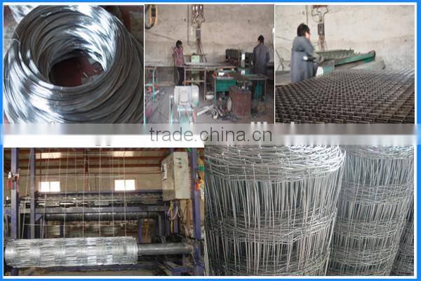 Woven Wire Fence/Goat Sheep Fence/Cattle Field Fence